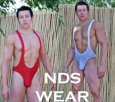 Alexandre's Microfiber Mens Bodysuit - BLOWOUT SALE!