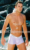 Apollo Microfiber Boxer-ABC Underwear-ABC Underwear