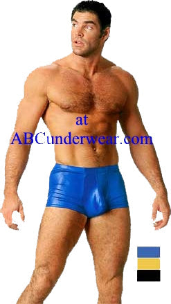 Arabian Boxer Men's Swimsuit