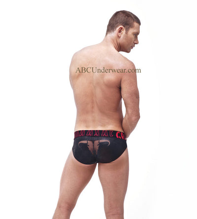 Bandito Brief