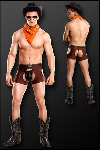 Cocky Cowboy Sexy Rancher Costume
