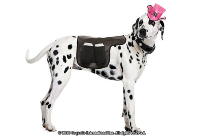 Costume Dog Saddle-Coquette-ABC Underwear