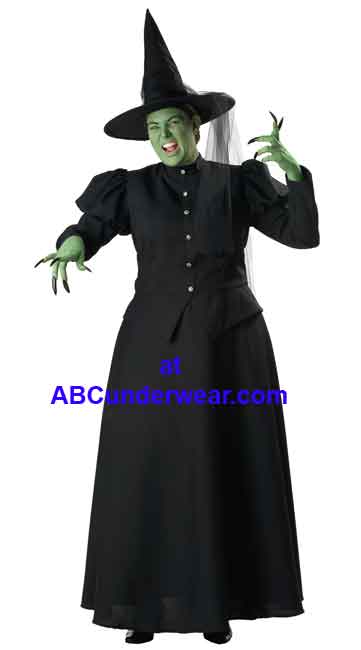 Deluxe Plus Size Witch Costume