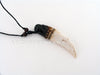 Eagle Head Tooth Necklace-DriftStone Pueblo-ABC Underwear