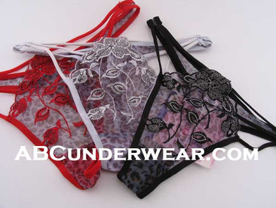 Elegant and Enigmatic Women's Thong or G-String Collection