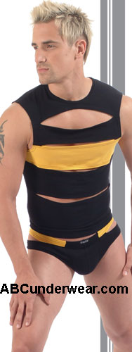 Elevated Trapeze Tanga: A Sophisticated Addition to Your Lingerie Collection