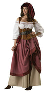 Elite Renaissance Woman Costume-In Character-ABC Underwear