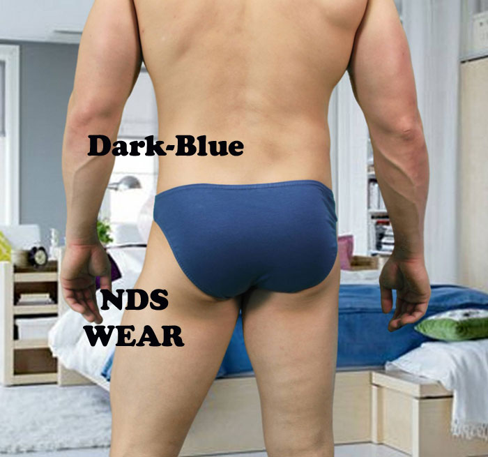 Fernando's 3 Color Underwear Brief Men's