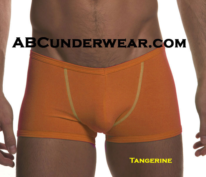 GO Solid V-Front Boxer