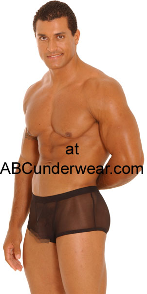 Greg Parry Sheer Eros Pouch Boxer Clearance-ABC Underwear-ABC Underwear