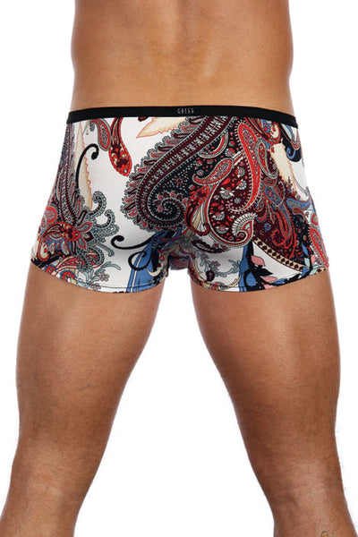 Gregg Havana Men's Desinger Trunk Underwear