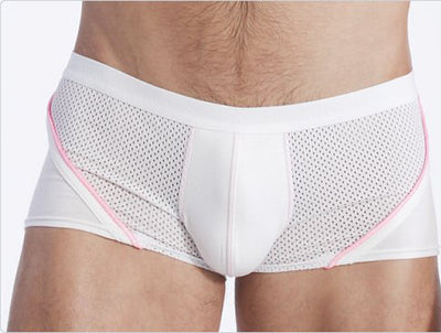 Gregg Homme Ace Trunk Trim Comtrast