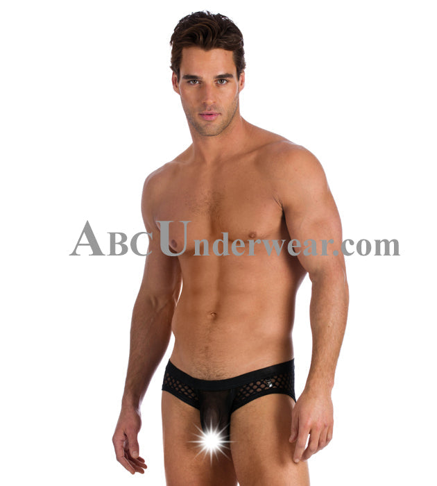 Gregg Homme After Hours Brief