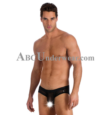 Gregg Homme After Hours Brief