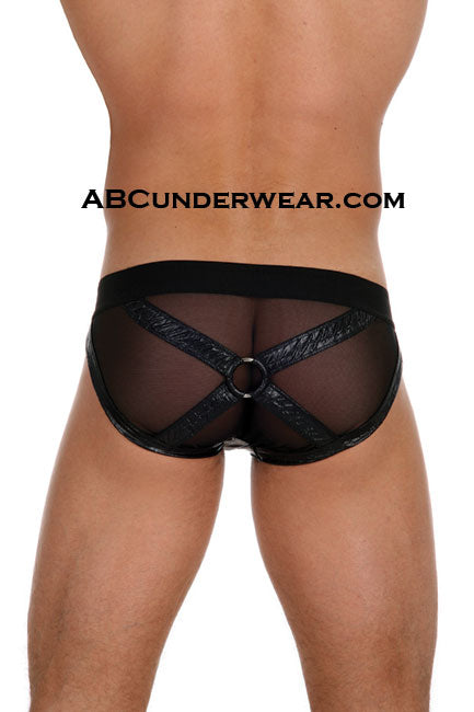 Gregg Homme Dangers Brief