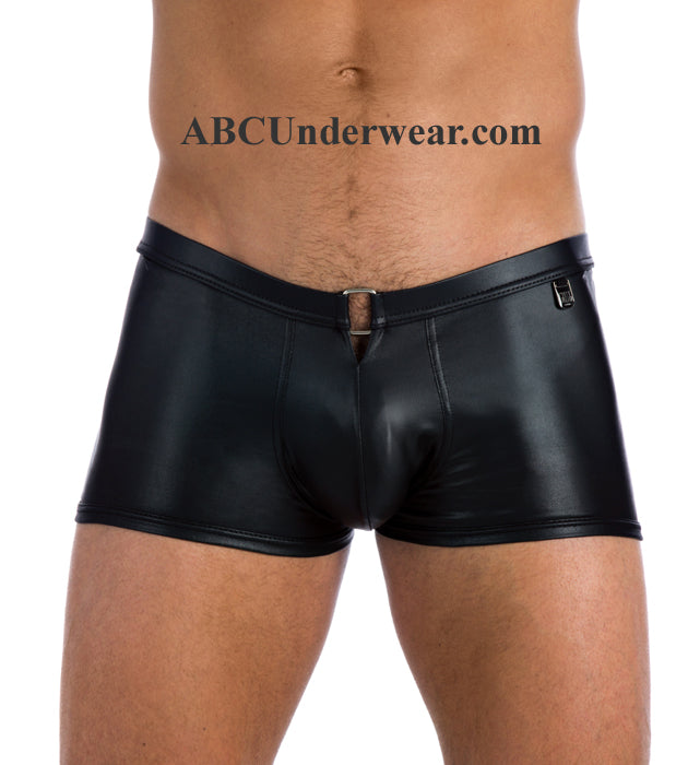 Gregg Homme Fuel Boxer