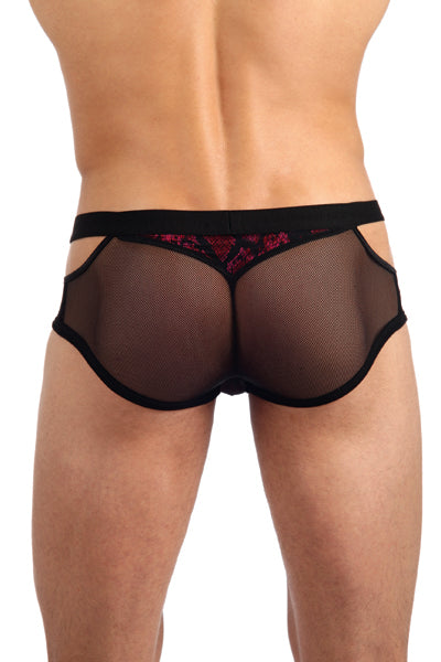Gregg Homme Fuzion Brief