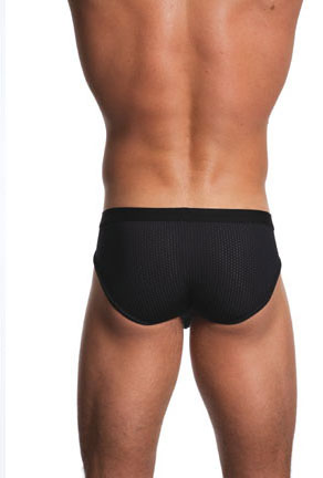 Gregg Homme Maximiser Brief