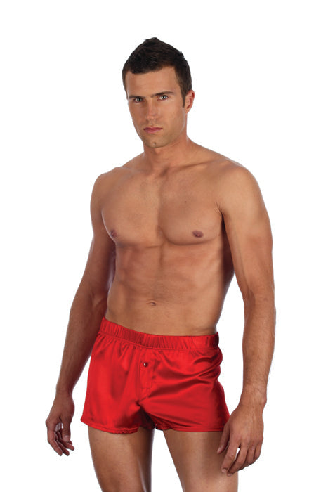 Gregg Homme Silk Spandex Boxers