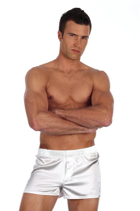 Gregg Homme Silk Spandex Boxers