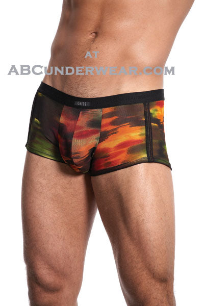 Gregg Homme Sunset Biker Short