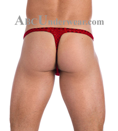 Introducing the Exquisite Gregg Homme After Hours Thong