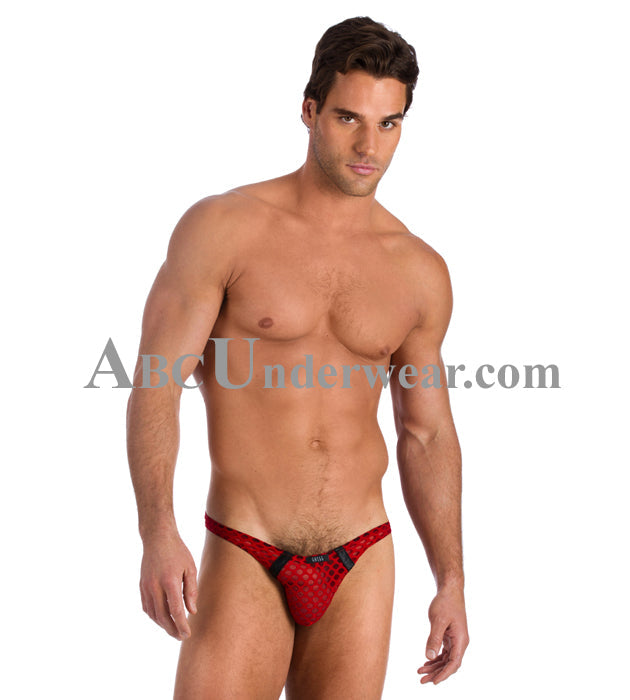 Introducing the Exquisite Gregg Homme After Hours Thong