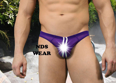 Italian Sheer Sexy Men's Purple Brief
