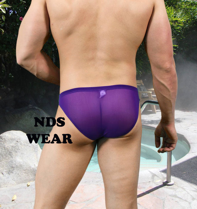 Italian Sheer Sexy Men's Purple Brief