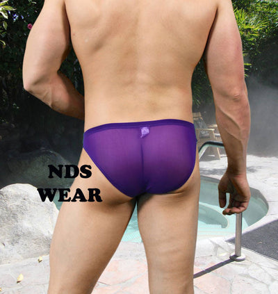 Italian Sheer Sexy Men's Purple Brief