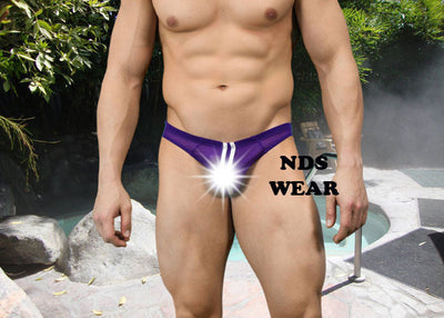 Italian Sheer Sexy Men's Purple Brief