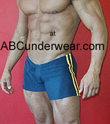 LASC Calvin Men's Swimsuit