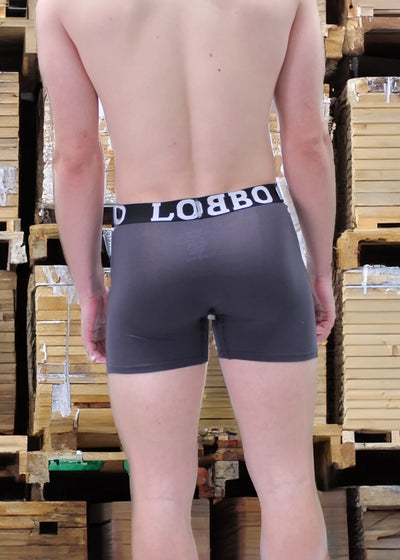 LOBBO Premium Men's Boxer Brief Underwear 2 Pack with Convenient Fly Feature