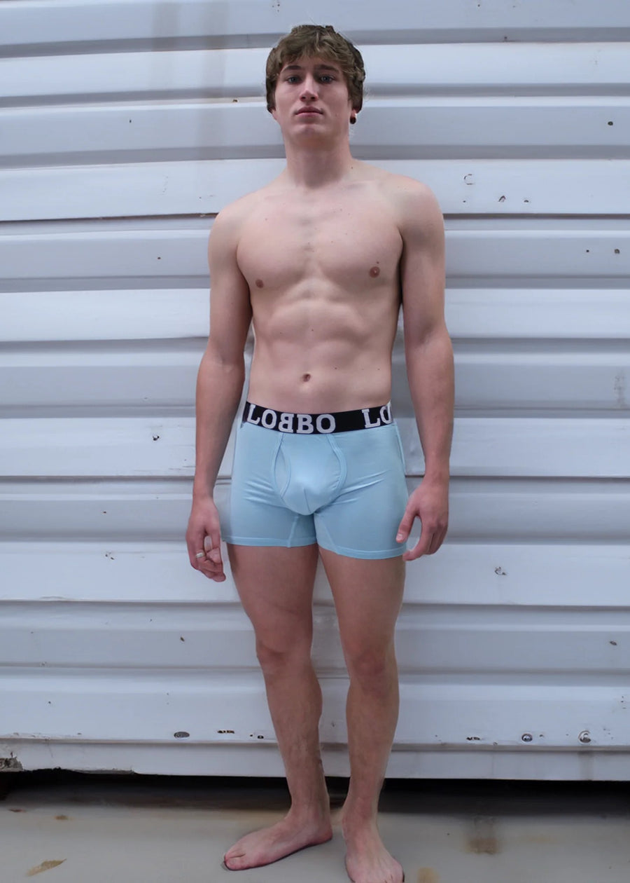 LOBBO Premium Men's Boxer Brief Underwear 2 Pack with Convenient Fly Feature