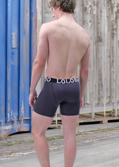 LOBBO Premium Sports Mesh Men's Boxer Brief 2 Pack with Convenient Fly-Front Design