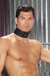 Leather Collar with D Ring-ABCunderwear.com-ABC Underwear