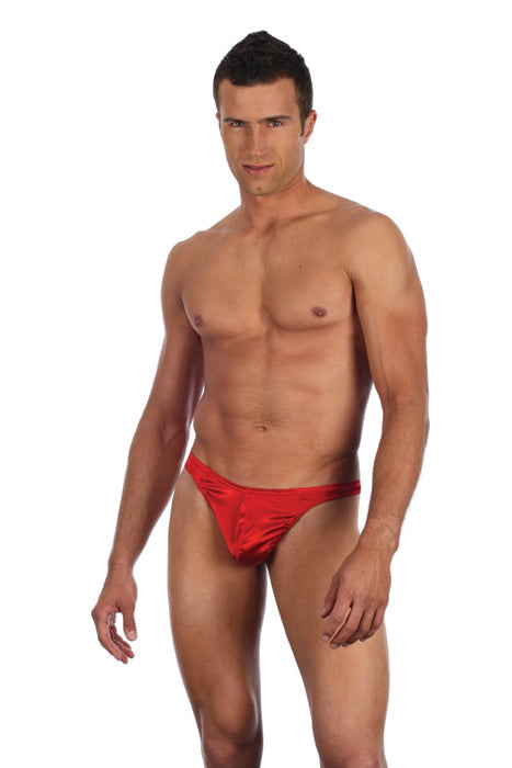 Luxurious Silk Spandex Thong by Gregg
