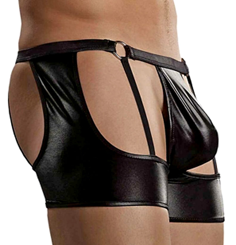 Male Power Garter Trunk