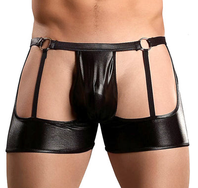 Male Power Garter Trunk
