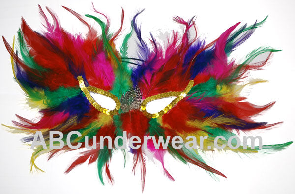 Mardi Gras Rainbow Feather Mask
