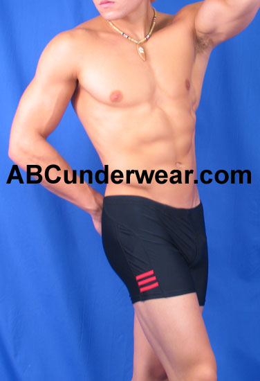 Mens Stripe Squarecut Swimsuit -Closeout