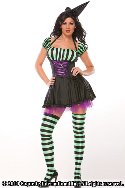 Miss Witchy-Poo Costume