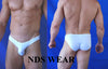 NDS Sheer Stripe Men's Bikini Clearance-NDS Wear-ABC Underwear