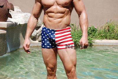 Neptio American Flag Mens Midcut Swimsuit