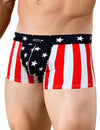 Neptio USA Flag Swimsuit Brief Trunk for Men-NEPTIO-ABC Underwear