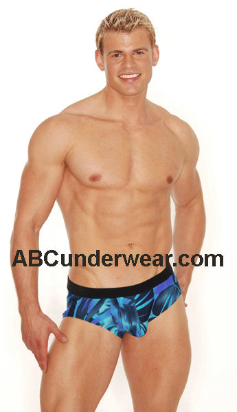 Palm Beach Eros Swimsuit Clearance