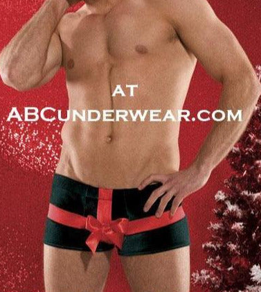 Present Mens Boxer Brief - Holiday Underwear Surprise