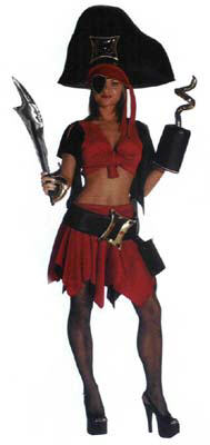Pretty Pirate Costume