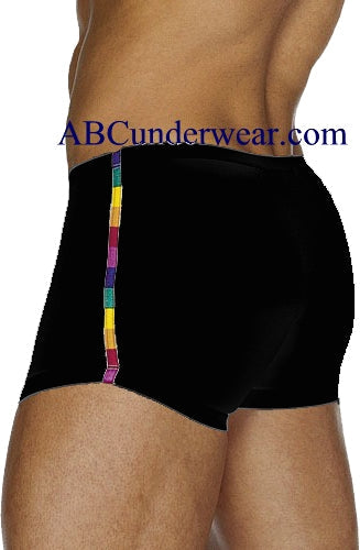 Rainbow Inset Swim Short for Men- Closeout