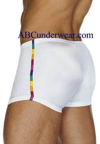 Rainbow Inset Swim Short for Men- Closeout